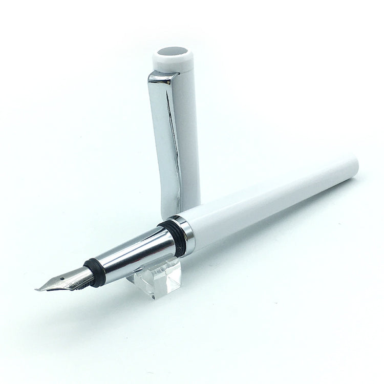 Fude Nib Calligraphy Fountain Pen from Taiwan