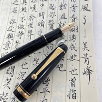 Pilot Custom 74 Black Fountain Pen
