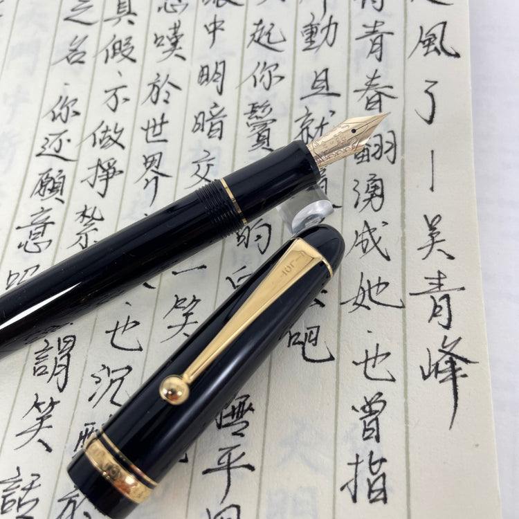 Pilot Custom 74 Black Fountain Pen